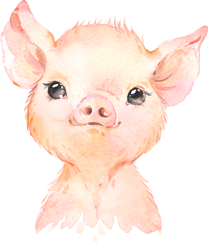 (s313-1-1J) Baby Pig