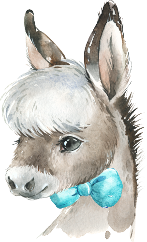 (s313-1-1K-13) Baby Donkey Turquoise Bowtie