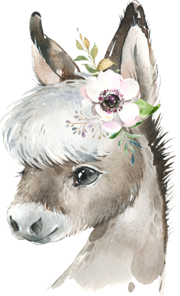 (s313-1-1K-33) Baby Donkey Flowers