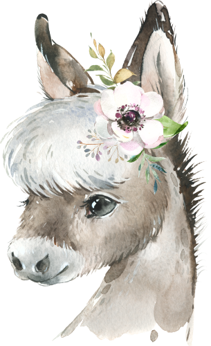 (s313-1-1K-33) Baby Donkey Flowers