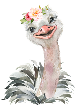 (s313-1-2K-49) Baby Ostrich Flowers