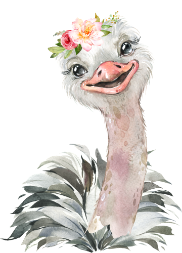 (s313-1-2K-49) Baby Ostrich Flowers
