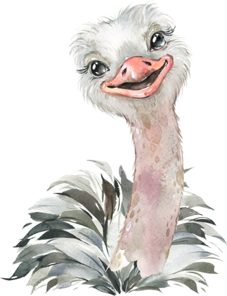 (s313-1-2K) Baby Ostrich