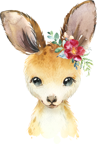 (s313-1-3K-39) Baby Kangaroo Flowers