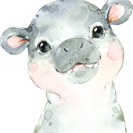 (s313-1-3K) Baby Hippo