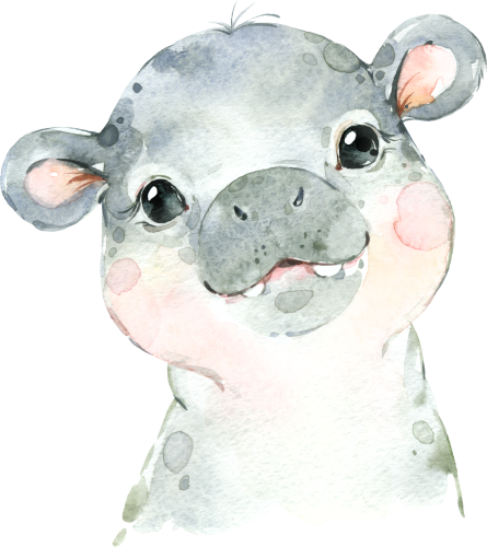 (s313-1-3K) Baby Hippo