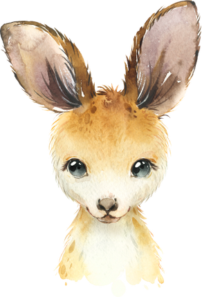 (s313-1-3K) Baby Kangaroo