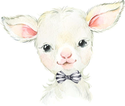(s313-1-1L-17) Baby Lamb Sheep Bowtie