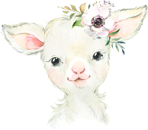 (s313-1-1L-33) Baby Lamb Sheep Flowers
