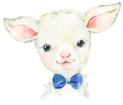 (s313-1-1L-8) Baby Lamb Sheep Blue Bowtie