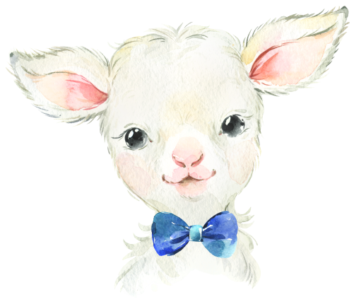 (s313-1-1L-8) Baby Lamb Sheep Blue Bowtie