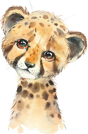(s313-1-3L) Baby Cheetah