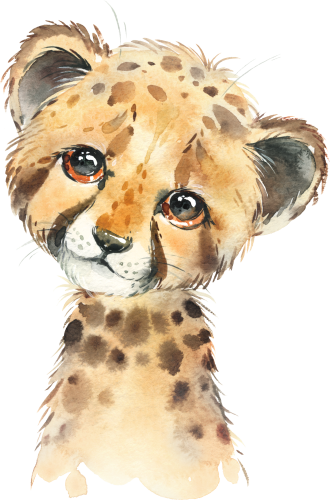 (s313-1-3L) Baby Cheetah