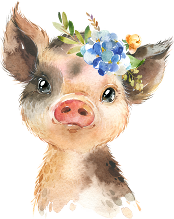 (s313-1-1M-36) Baby Pig Flowers