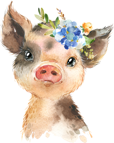 (s313-1-1M-36) Baby Pig Flowers