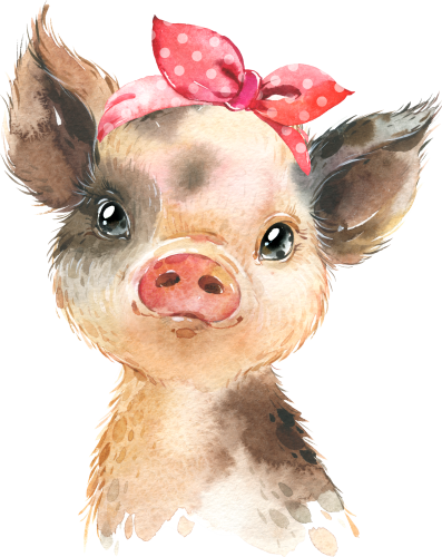 (s313-1-1M-5) Baby Pig Red Headband