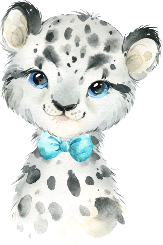 (s313-1-2M-13) Baby Snow Leopard Turquoise Bowtie