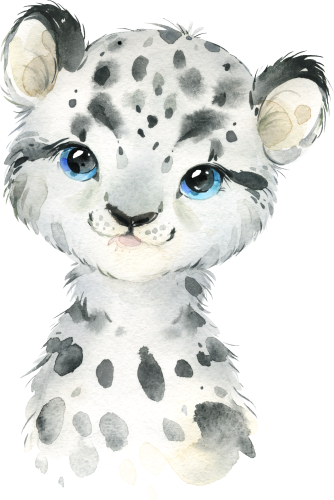 (s313-1-2M) Baby Snow Leopard