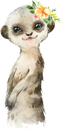 (s313-1-3M-42) Baby Meerkat Flowers