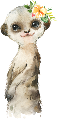 (s313-1-3M-42) Baby Meerkat Flowers