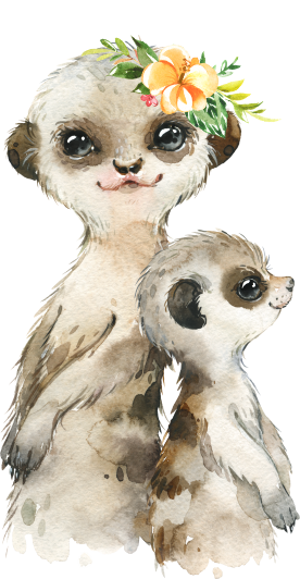 (s313-1-3N-42) Big Little Meerkat Flowers