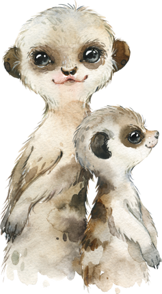 (s313-1-3N) Big Little Meerkat