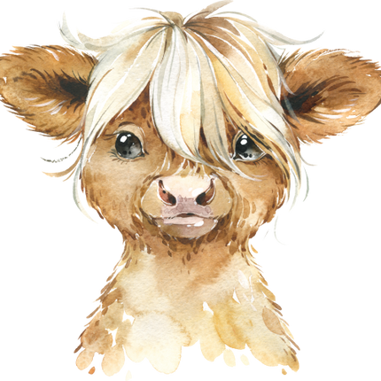 (s313-1-1N) Baby Highland Cow