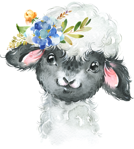 (s313-1-1O-36) Baby Blackhead Sheep Flowers