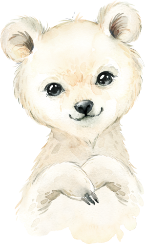 (s313-1-2O) Baby Polar Bear
