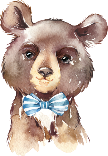 (s313-1-3O-16) Baby Bear Bowtie