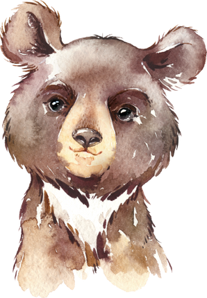 (s313-1-3O) Baby Bear