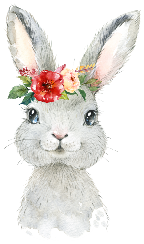 (s313-1-1P-31) Baby Bunny Rabbit Hare Flowers