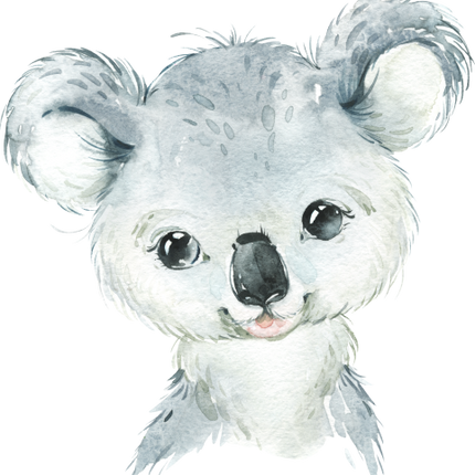 (s313-1-2P) Baby Koala