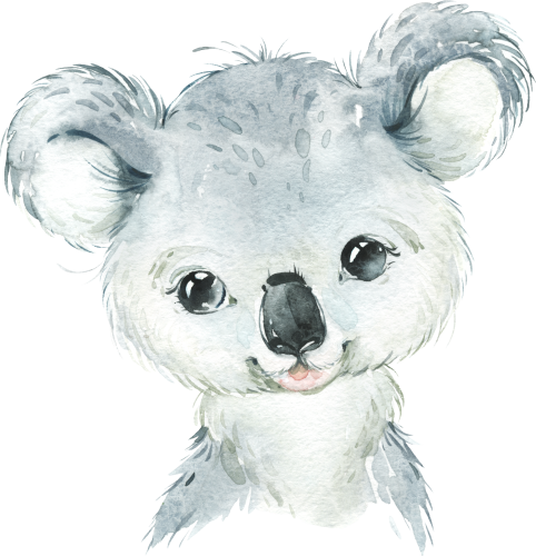 (s313-1-2P) Baby Koala