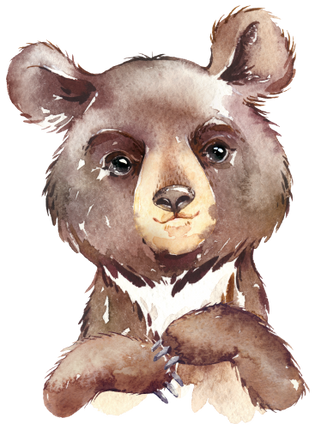 (s313-1-3P) Baby Bear