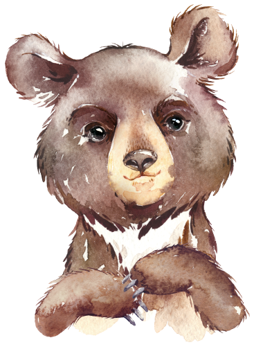 (s313-1-3P) Baby Bear