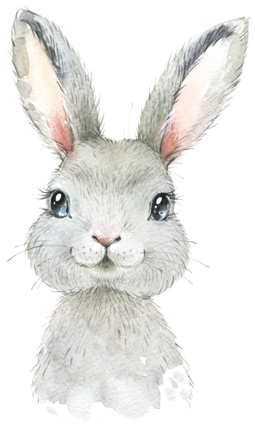 (s313-1-1P) Baby Bunny Rabbit Hare