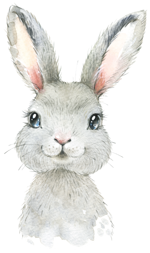 (s313-1-1P) Baby Bunny Rabbit Hare