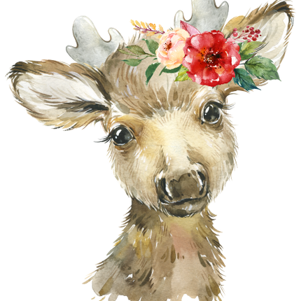 (s313-1-1Q-31) Baby Moose Flowers