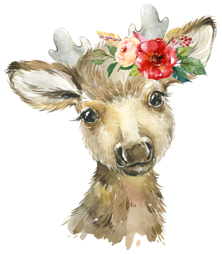 (s313-1-1Q-31) Baby Moose Flowers