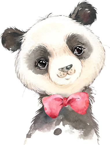 (s313-1-2Q-15) Baby Giant Panda  Red Bowtie