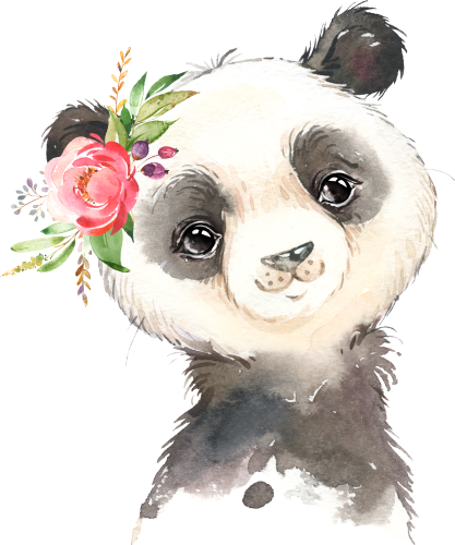 (s313-1-2Q-30) Baby Giant Panda Flowers