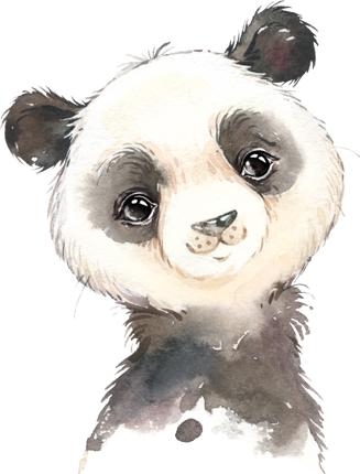 (s313-1-2Q) Baby Giant Panda