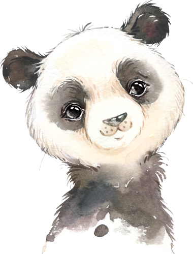 (s313-1-2Q) Baby Giant Panda