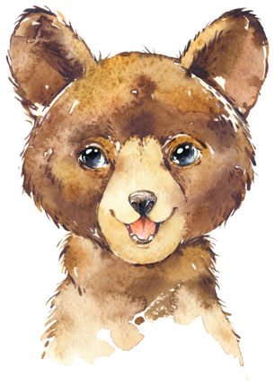 (s313-1-3Q) Baby Bear