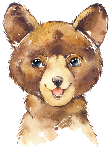 (s313-1-3Q) Baby Bear