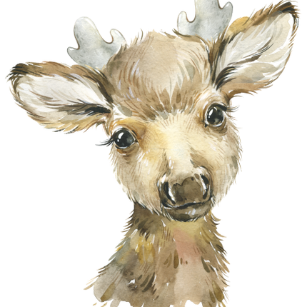 (s313-1-1Q) Baby Moose