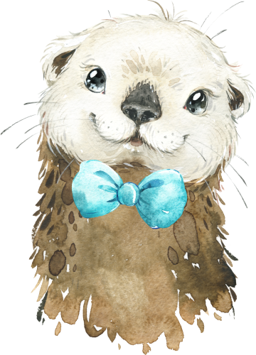 (s313-1-1R-13) Baby Otter Turquoise Bowtie
