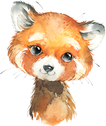 (s313-1-2R) Baby Red Panda