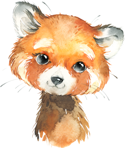 (s313-1-2R) Baby Red Panda